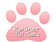 Kaniner och kaninungar till salu