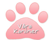 L�s mer om v�ra kaniner
