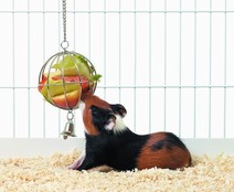 H�boll/salladsboll 9cm