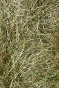 V�rat eget ekologiska h� 110l