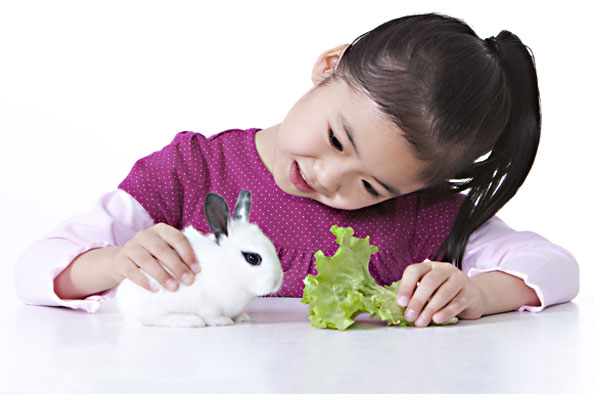 Boka ett besök på kaningården och lär dig mer om kaniner