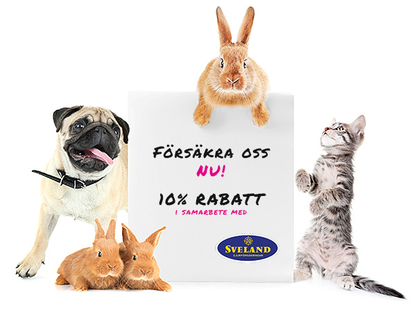 Rabatt på försäkring hos Sveland