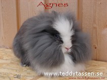 Agnes