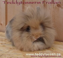 Teddytassens Frallan