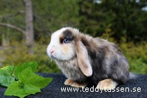Teddytassens Othilia (satin)