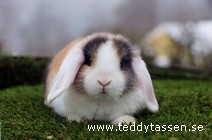 Teddytassens Pingla (satin)