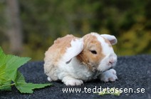 Teddytassens Pippsy (rexpälsad)