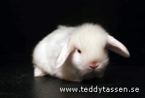 Teddytassens Pysen (satin)