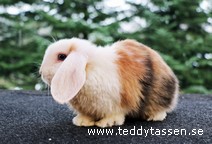 Teddytassens Disneylina (satin)