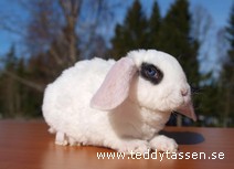 Teddytassens Glitter