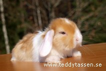 Teddytassens Mauritz (satin)