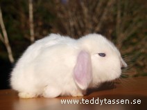 Teddytassens Mimmis (satin)