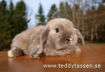 Teddytassens Musse Pigg (satin)