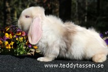 Teddytassens Odelia (satin)