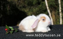 Teddytassens Ocki (satin)