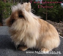 Teddytassens Donut 94,5p