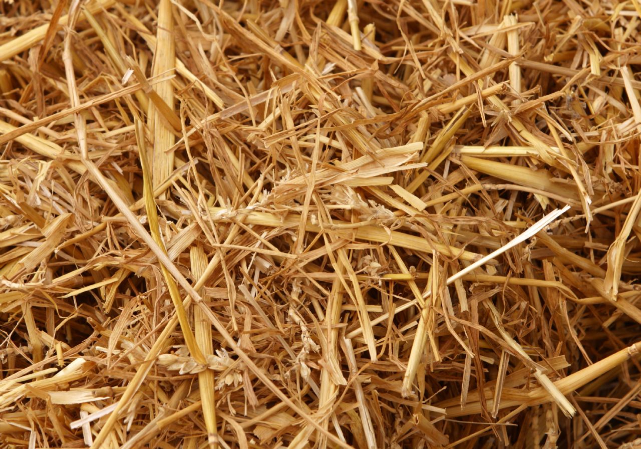 Teddytassens Närproducerade ekologiska halm ca 30L