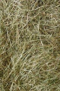 Närproducerat ekologiskt hö 125L
