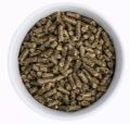 GastroBalance - När chinchillan har problem med magen 200g