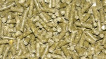 Chinchillapellets Bello 5 kg