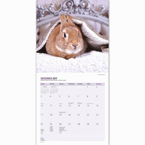 Kanin Kalender 16 Månader 2016-2017