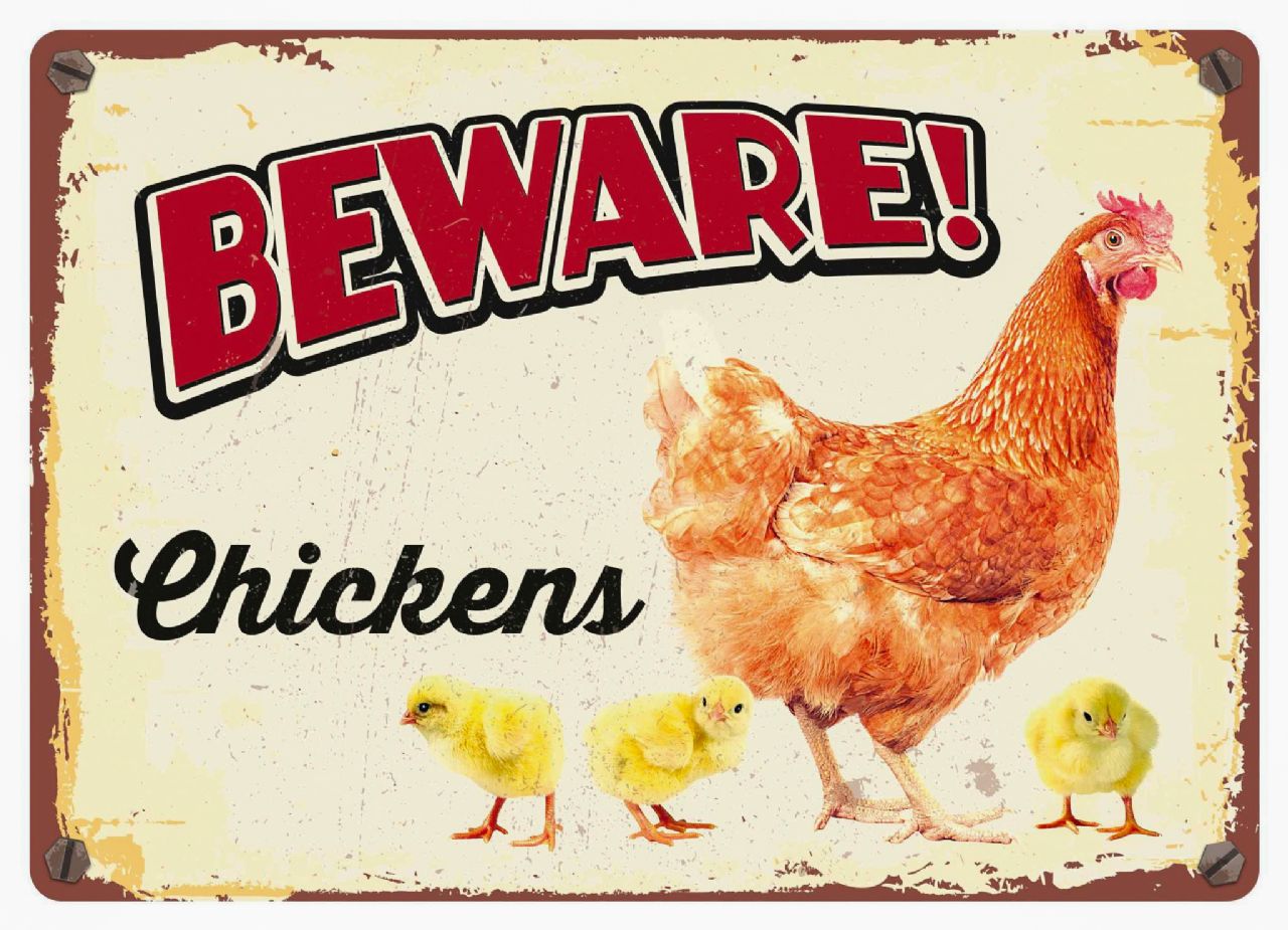 Skylt i plåt - Beware Chickens 21x14,9 cm