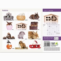 A4 Kanin Kalender 2017