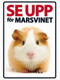 SKYLT - Se upp för marsvinet!