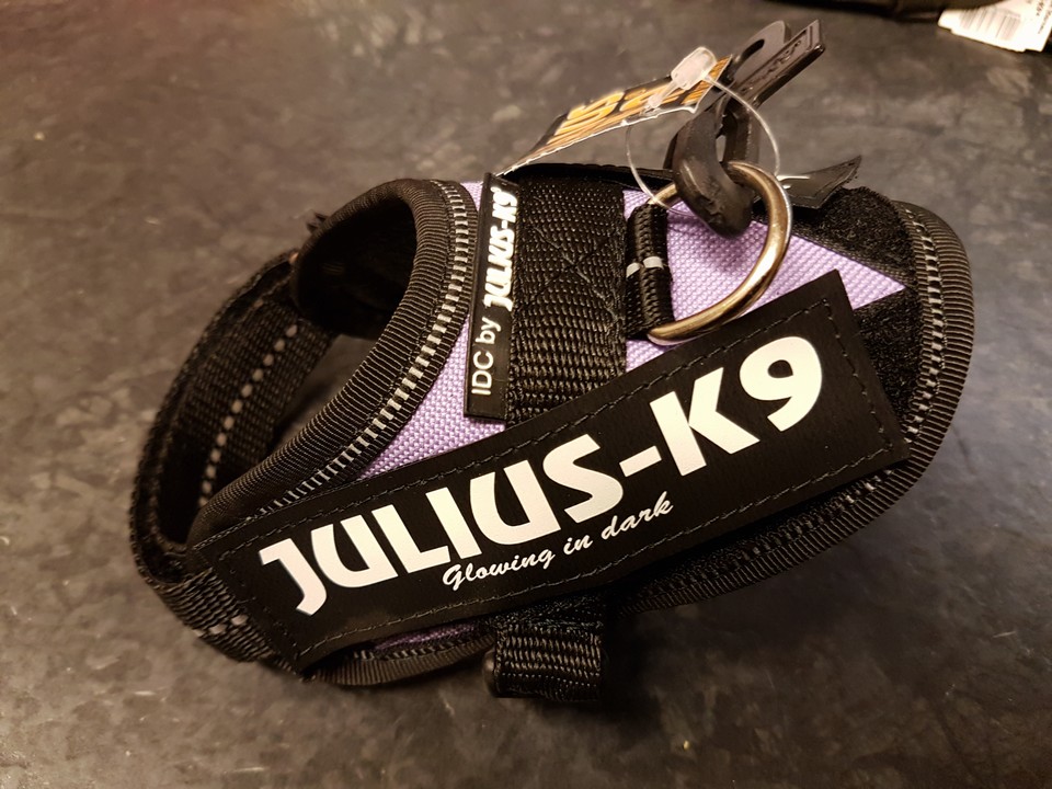 Julius K9 - Baby 1 - Purple - Utförsäljning!