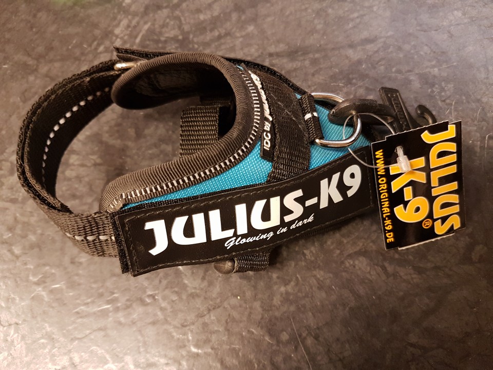 Julius K9 - Baby 2 - Aquamarine - Utförsäljning!