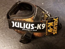 Julius K9 - Baby 2 - Autumn Touch - Utförsäljning!