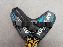 Julius K9 - Baby1 - Aquamarine - Utförsäljning!