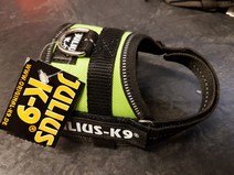Julius K9 - Baby1 - Kiwi - Utförsäljning!