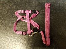 Kaninsele XL - Cerise