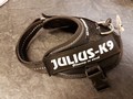 Julius K9 - Baby 2 - Black - Utförsäljning!