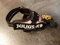 Julius K9 - Baby 2 - Pink - Utförsäljning!