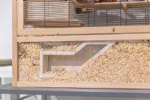 Underground Hamstertunnel med tittut