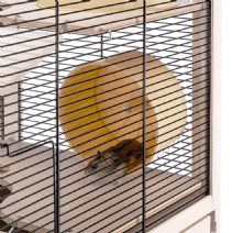 Eco Hamstervilla i trä 60cm