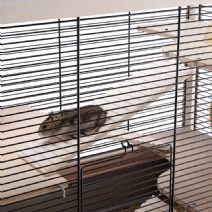 Eco Hamstervilla i trä 60cm