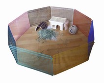 Hamsterhage Colour 8 kantig