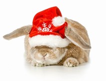 Jul