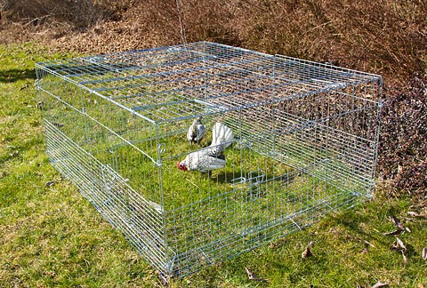 Kaninhage med SMÅ maskor, solskydd och smart rymningskant 144 cm