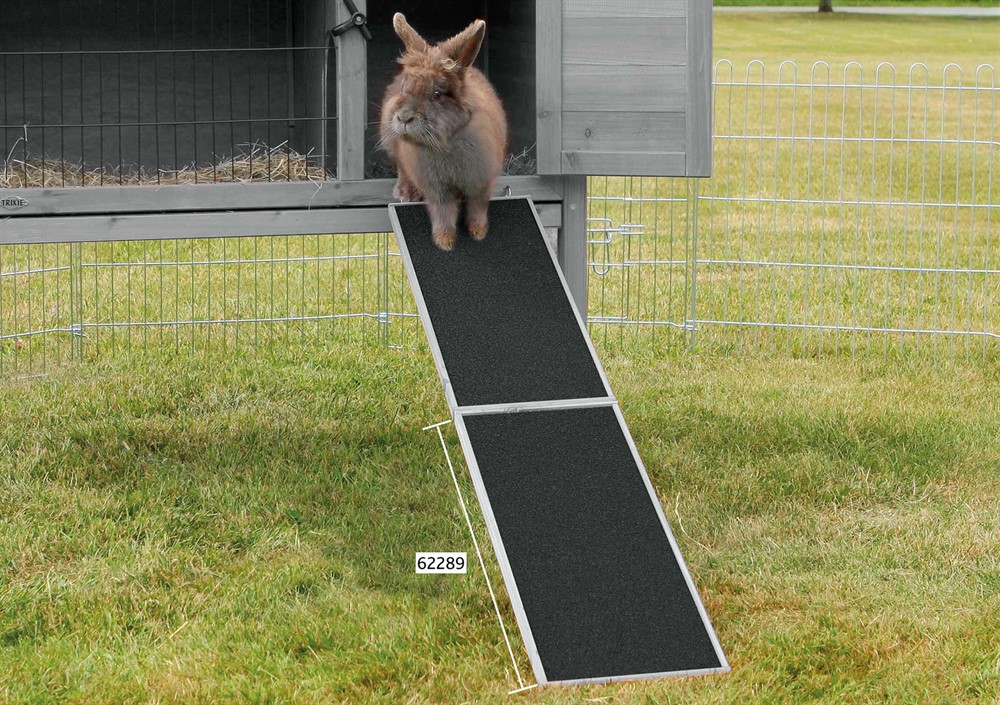 Träramp att ha mellan bur och hage 50 cm - Grå