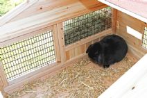 Rabbit Royal Kaninfort med isolerad bodel 119cm