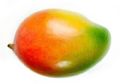 Torkade Mango-bitar 100g