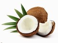 Torkad Cocos 80g