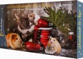 Julkalender för smådjur 2017 - Premium