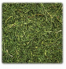 Persiljestjälkar 75g
