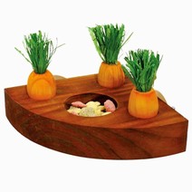 Corner Carrot Toy & Treat