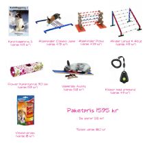 Kaninhoppnings-paketet Deluxe XL - 5 hinder plus bok, klicker & belöningsgodis